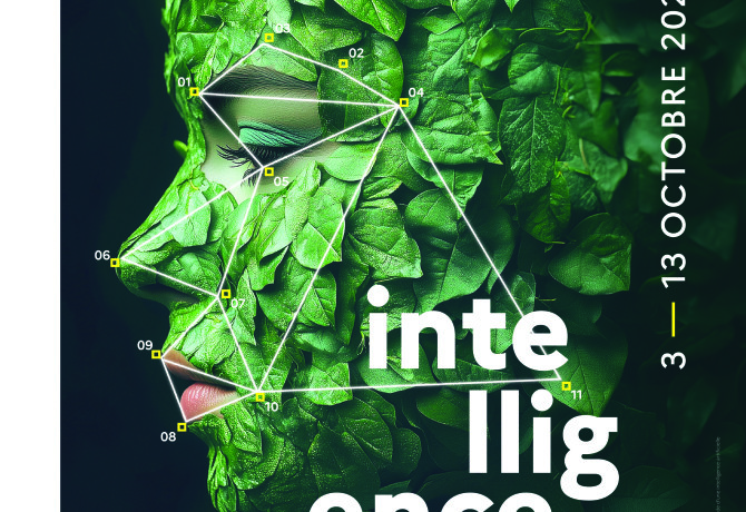 FDS25_affiche_297x420_partenaires